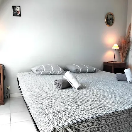 Maison Alis 5 Pieces 10 Personnes A 100 Metres De La Du Couregant Villa